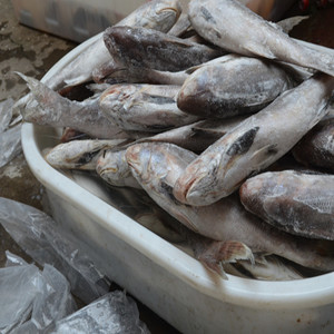 淡水鱼与海鱼 从价格、选购到健康食用指南