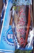 黑龙江淡水鱼 从三花五罗到产业的金色名片