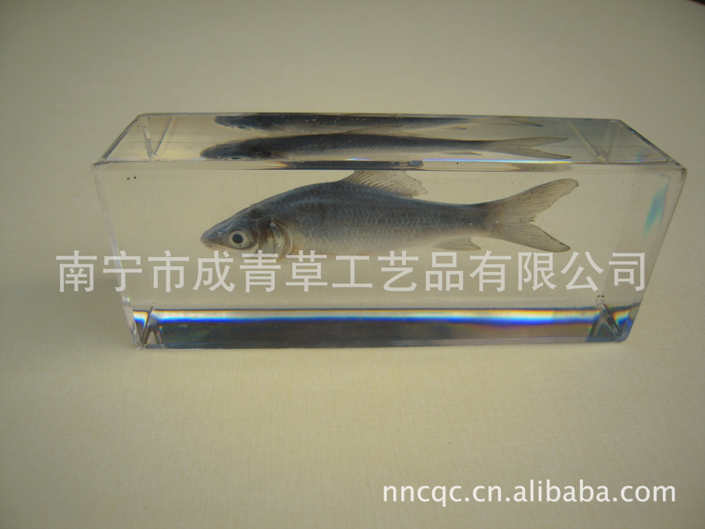 河鱼标本水晶艺术 自然与工艺的完美融合
