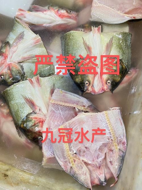 常年淡水鱼供应与水产加工品 从塘头到餐桌的稳定链路